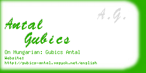 antal gubics business card